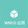 WM10 应用